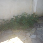 DSC00182
