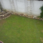DSC00196