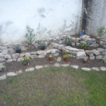 DSC00199