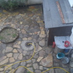 DSC00207