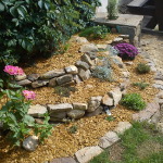 DSC00220