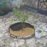 DSC00221