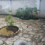 DSC00222