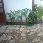DSC00223