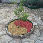 DSC00228