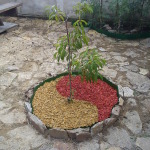 DSC00229