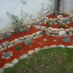 DSC00230