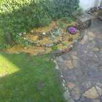 DSC00232