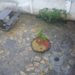 DSC00233